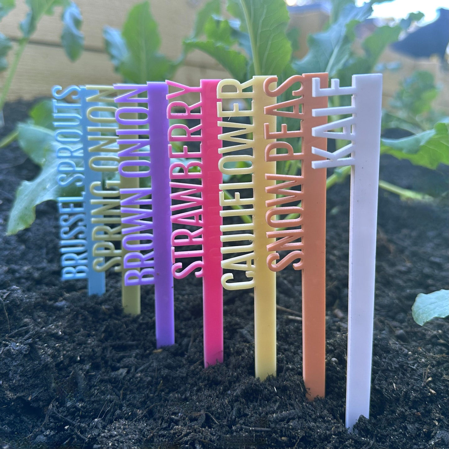 Custom Plant Tags